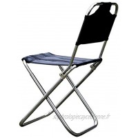 YUNZUN Chaise de Plage Portable Pliable avec Chaise de Camping Compacte Dossier Haut Chaises Pliantes Parfait pour Randonnée Pêche Pique-Nique Le Camping