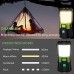 EULOCA Lanterne LED Rechargeable Dimmable Lampe Torche pour Eclairage Extéieur IPX4 Étanche Spot pour Randonnée,Camping Bivouac Maison Bricolage avec Câble USB